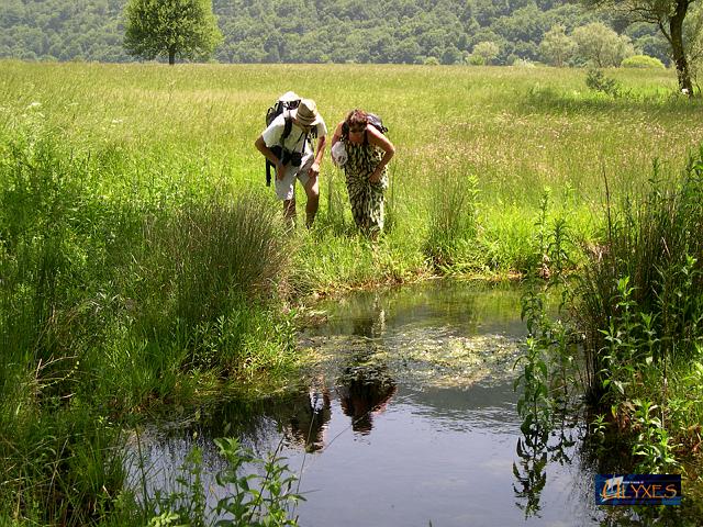 curiosita' riflesse.JPG